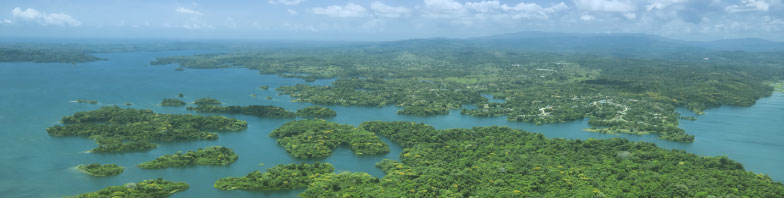 panama green lights beneficial owner register legislation